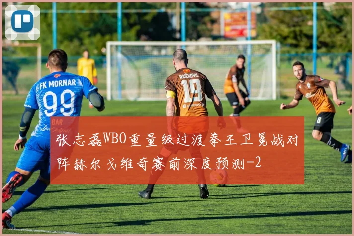 张志磊WBO重量级过渡拳王卫冕战对阵赫尔戈维奇赛前深度预测