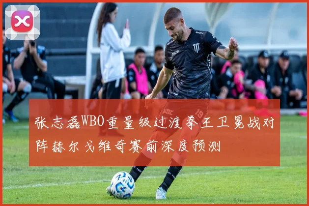 张志磊WBO重量级过渡拳王卫冕战对阵赫尔戈维奇赛前深度预测